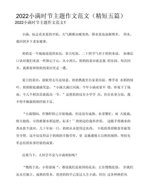 小满作文600字六年高中作（优秀6篇）