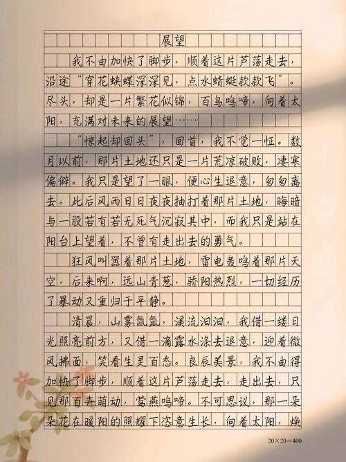展望未来高中作小升初作文