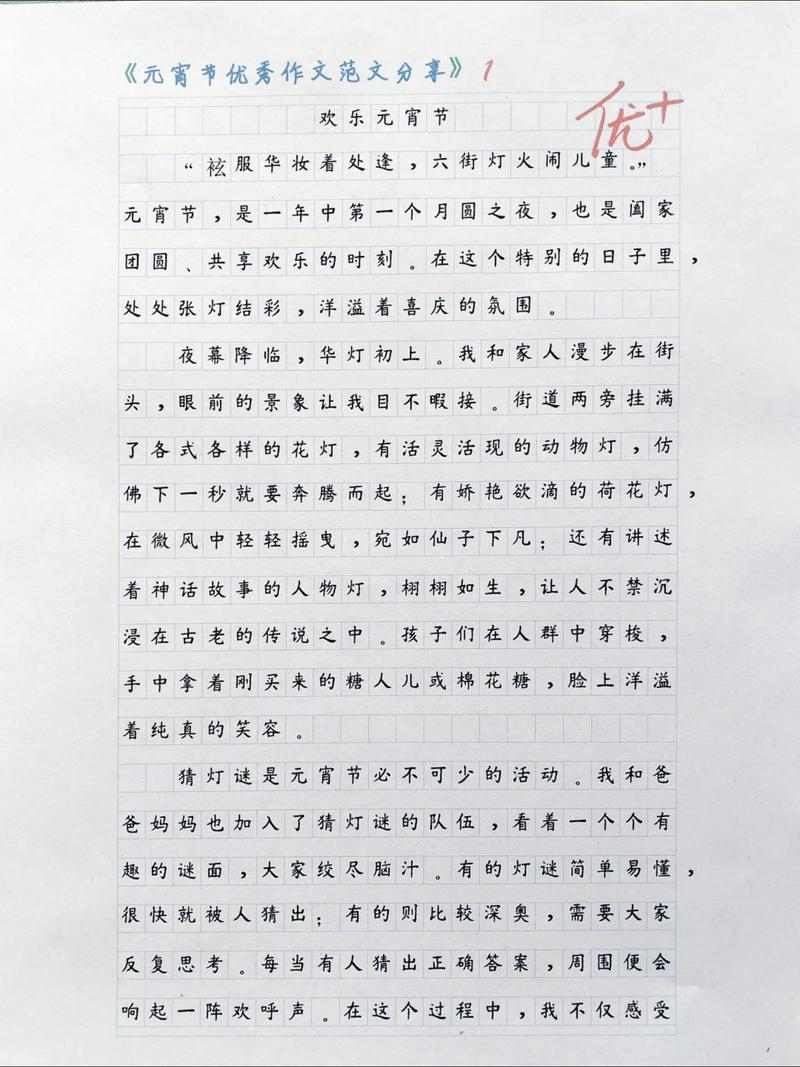 快乐的作文元宵节作文800字(最新6篇)
