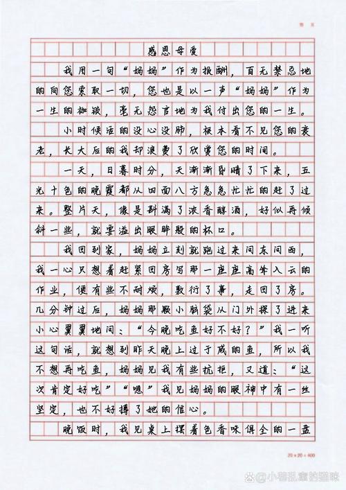 感恩妈妈作文800字高中二年优秀作文优秀作文