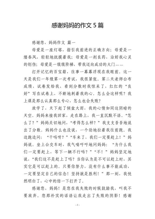 感恩妈妈作文800字高中二年优秀作文优秀作文