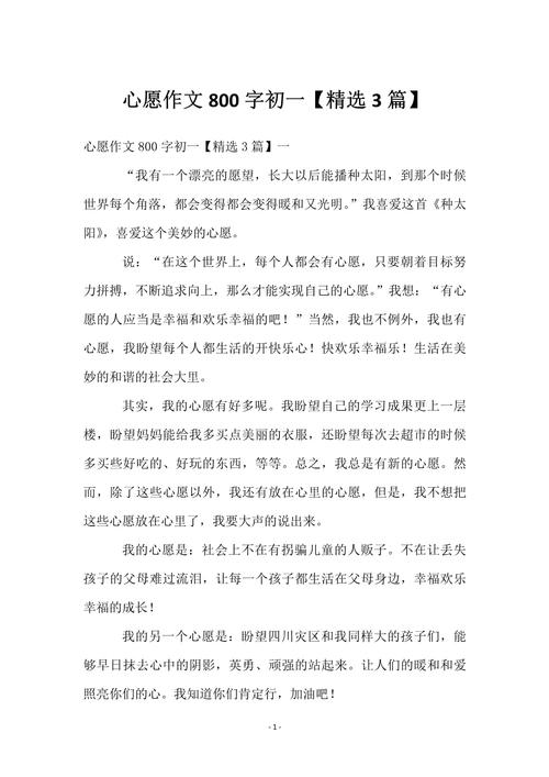 我的初中作心愿作文1000字
