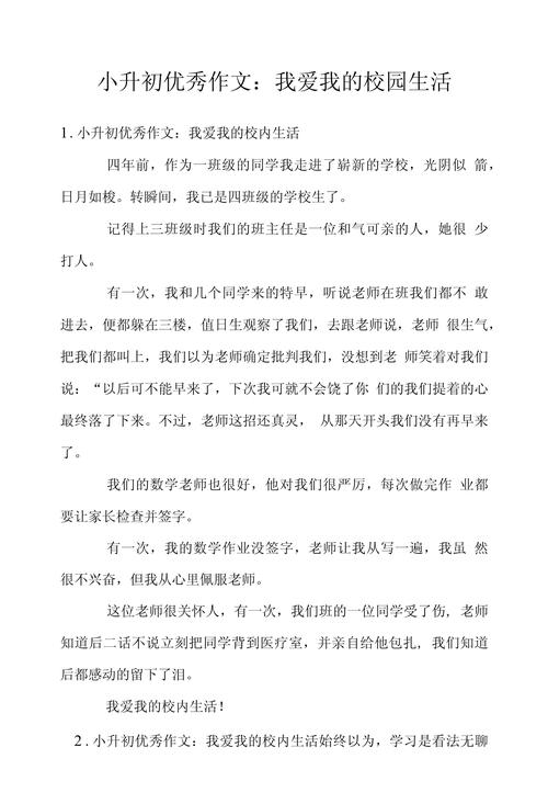 我的小升初作文学校二年级作文范文500字3篇