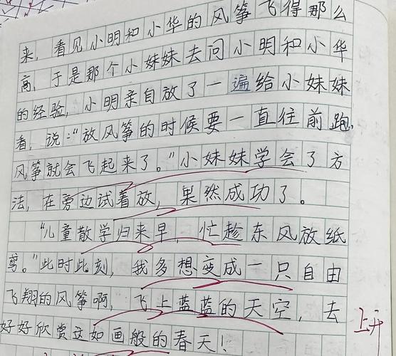 放风筝作优秀作文600字初中
