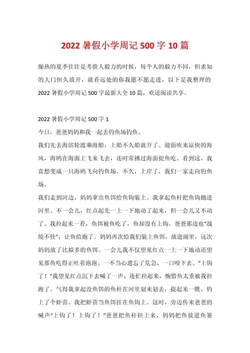 暑假的作文大全一天500字左右