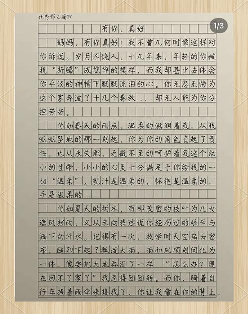 有你真好作文600字初中二年高中作