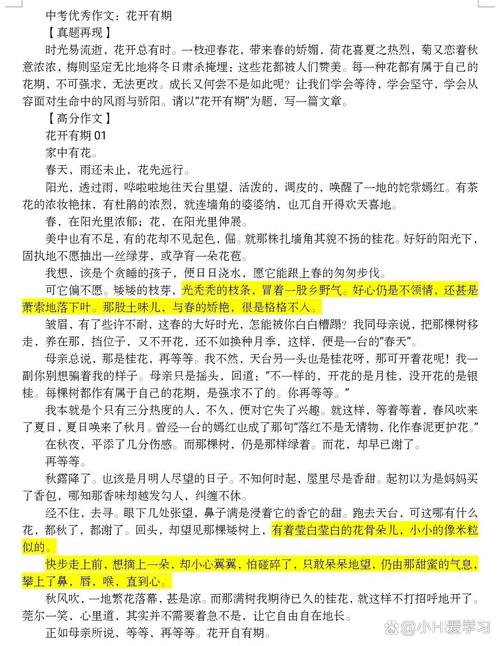 桂花作高考作文700字