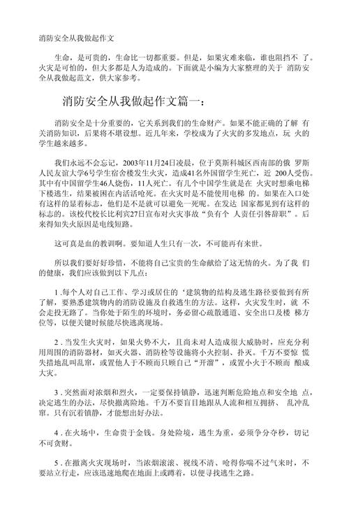 消防安全日作作文素材800字4篇