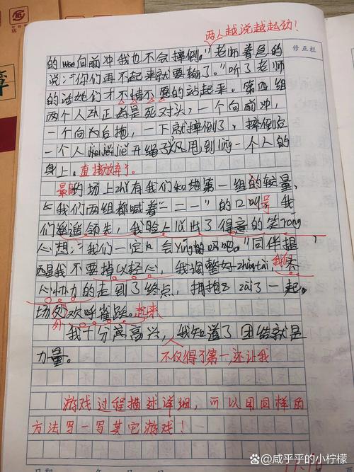 游戏四年小升初作文小学作文