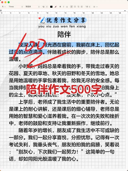 父母的高中作陪伴作文800字左右