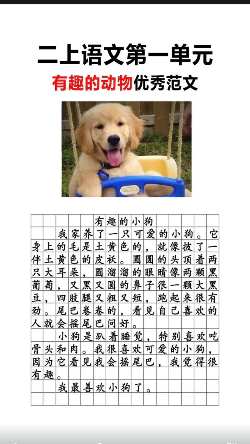 狗小学作看图作文