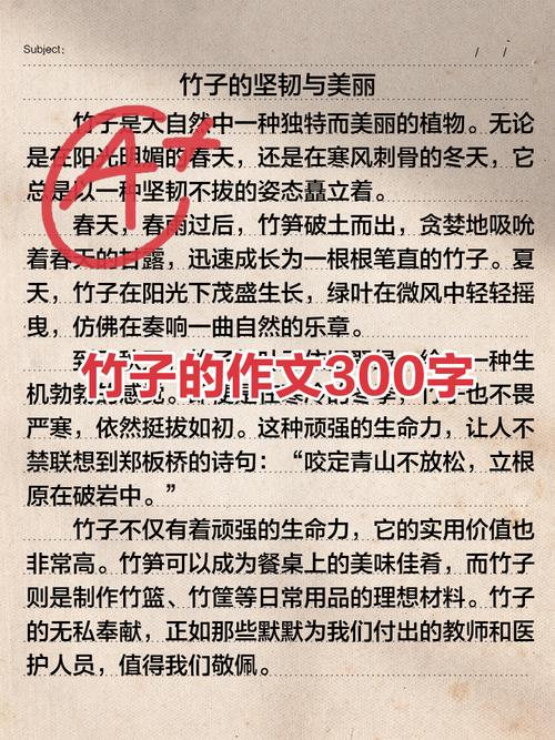 竹小学作优秀作文锦集