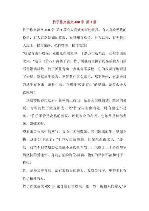 竹小学作优秀作文锦集
