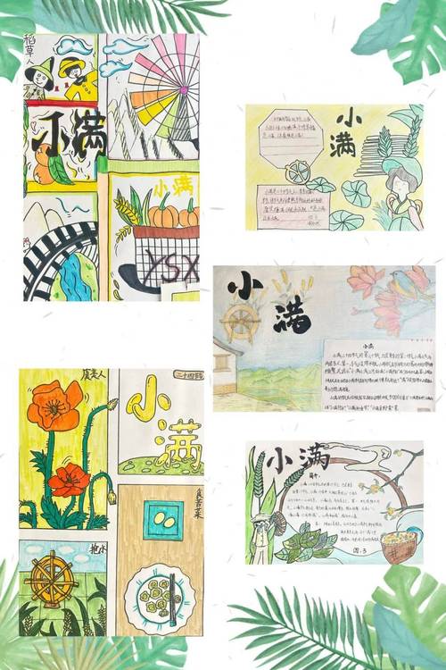 精选二十四节气小满作作文素材600字写景