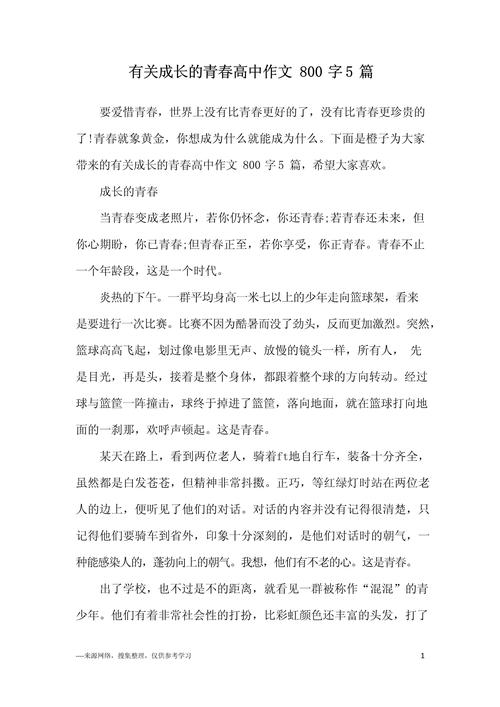 精选成长的高中作岁月初三作文600字