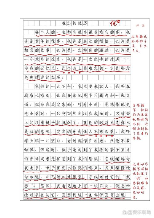 精选难忘的小升初作文一件事初二优秀作文600字