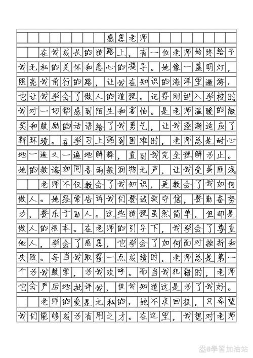 精选高二关于感恩老师的中考作文作文800字