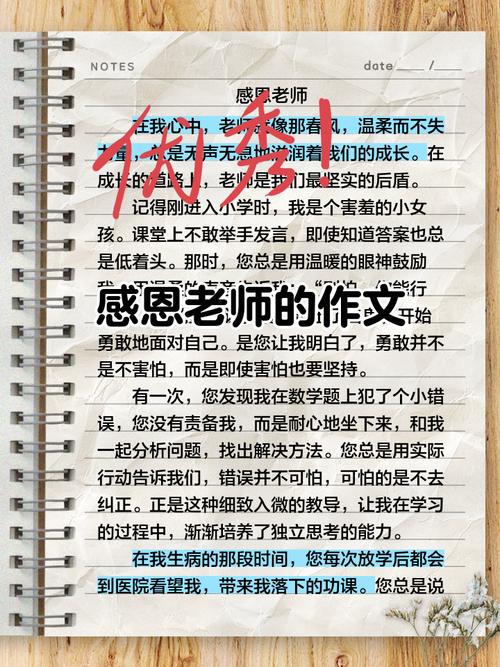 精选高二关于感恩老师的中考作文作文800字