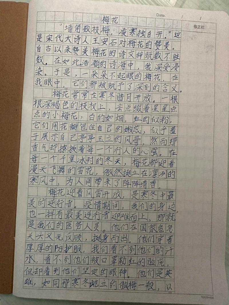 精选默默无闻作小学作600字初中