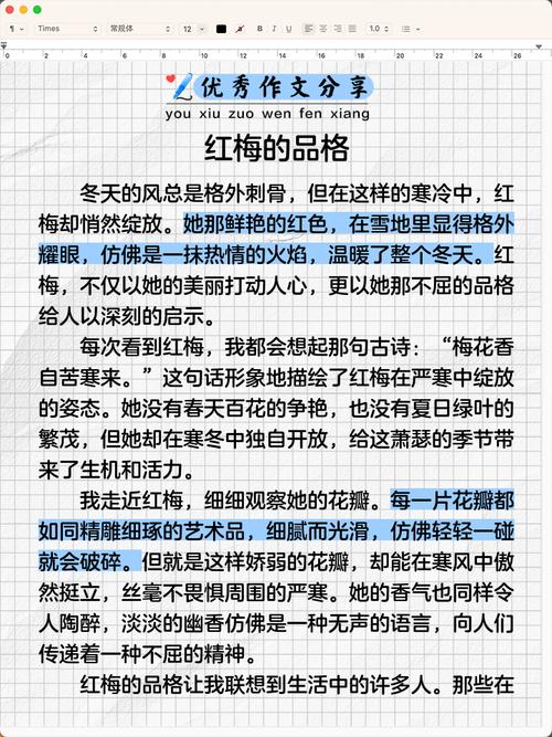 红梅公园作小学作600字