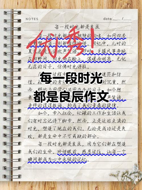 那一段时光作高考作文600字