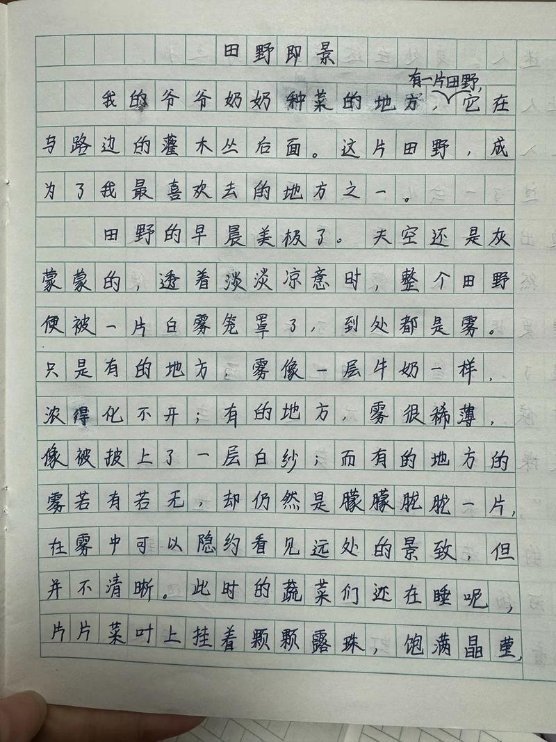 金色的中考作文田野三年级学生作文