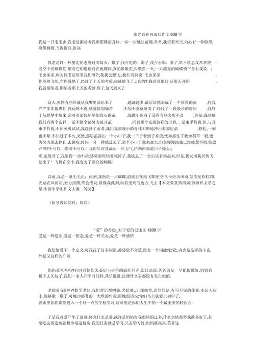 阳光总在风雨后600字
