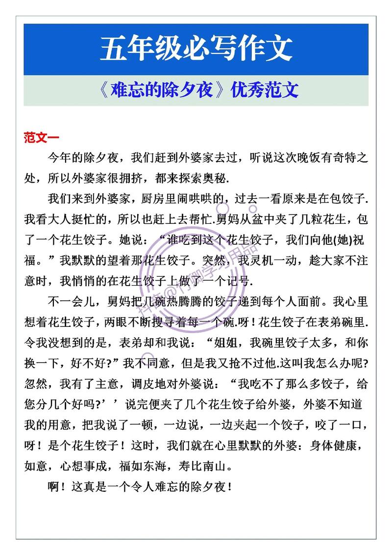 难忘除夕夜800字