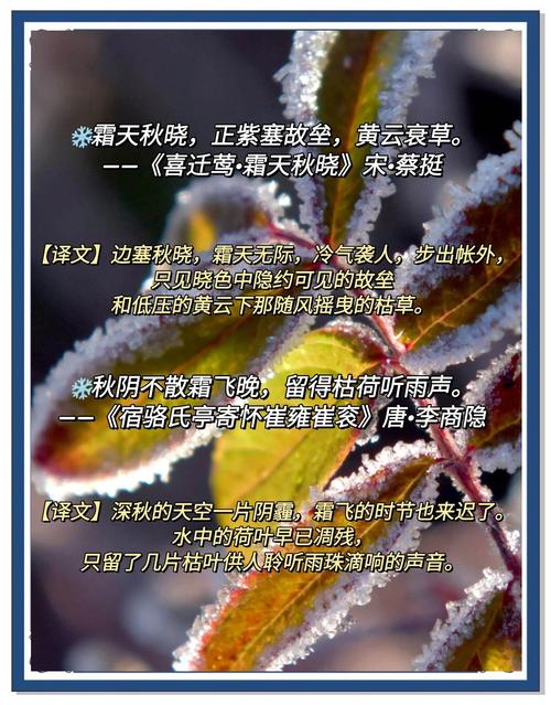 霜小学作大学作精选5篇