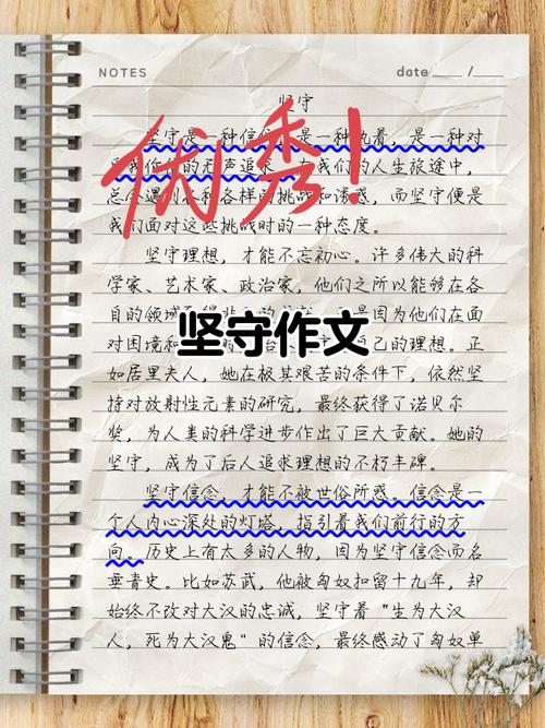 高中坚守正直的作文网议论文800字（个人通用）