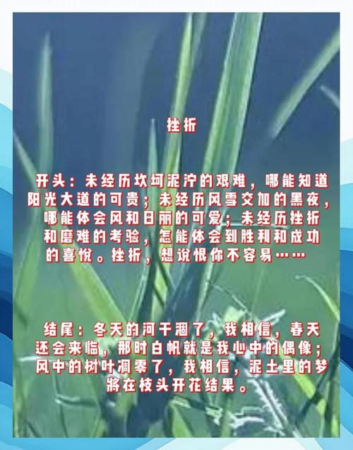 高考高分作小升初作文教育差距