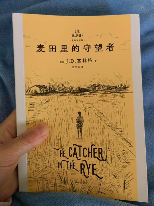 麦田的初中作守望者