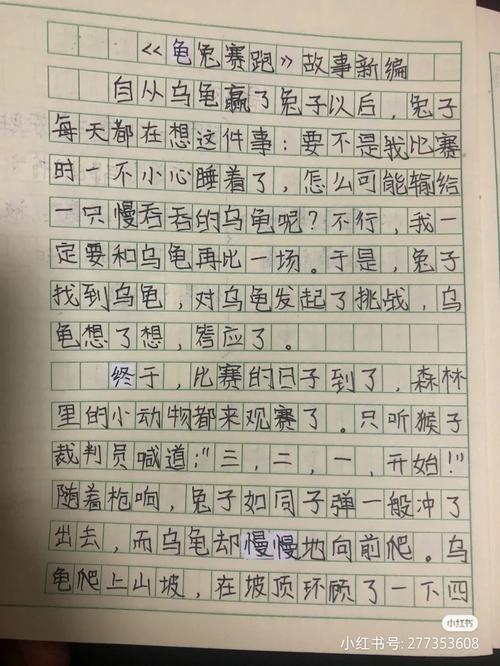 龟兔赛跑小学作作文素材精选5篇