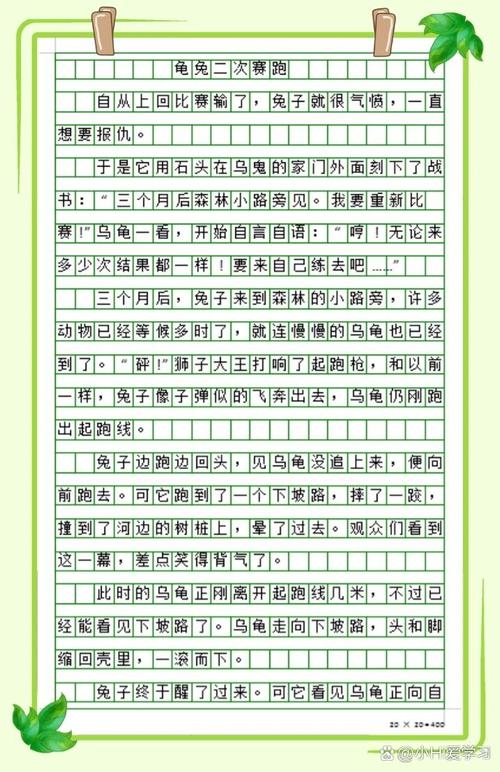 龟兔赛跑小学作作文素材精选5篇