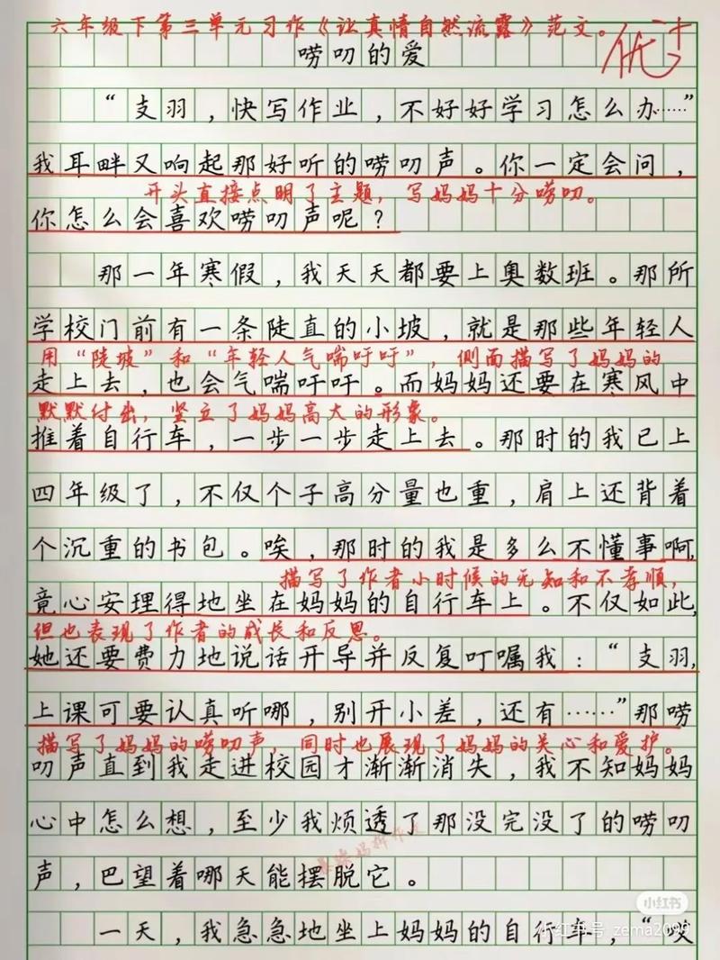 唠叨不再讨厌作作文素材
