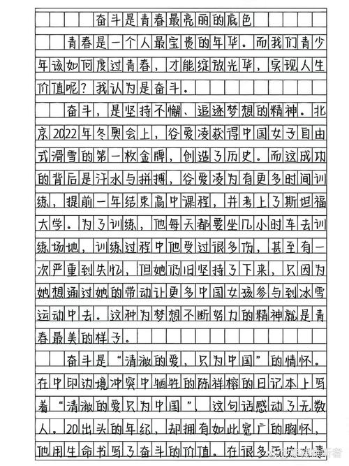 奋斗作六年级作文800字初中