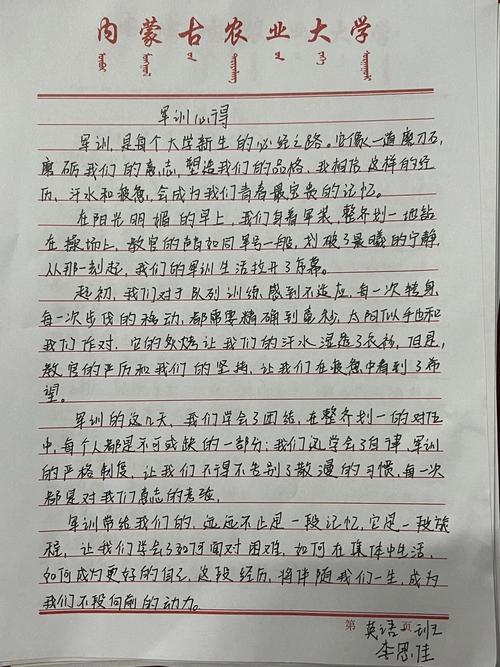 小作文生军训个人总结范文