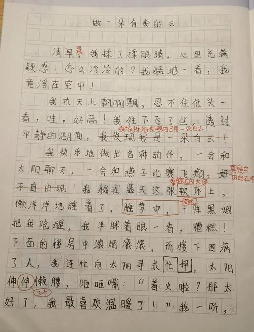 小学三年大学作白云作文6篇