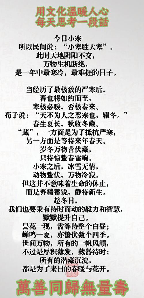 小寒节气作大学作600字2022