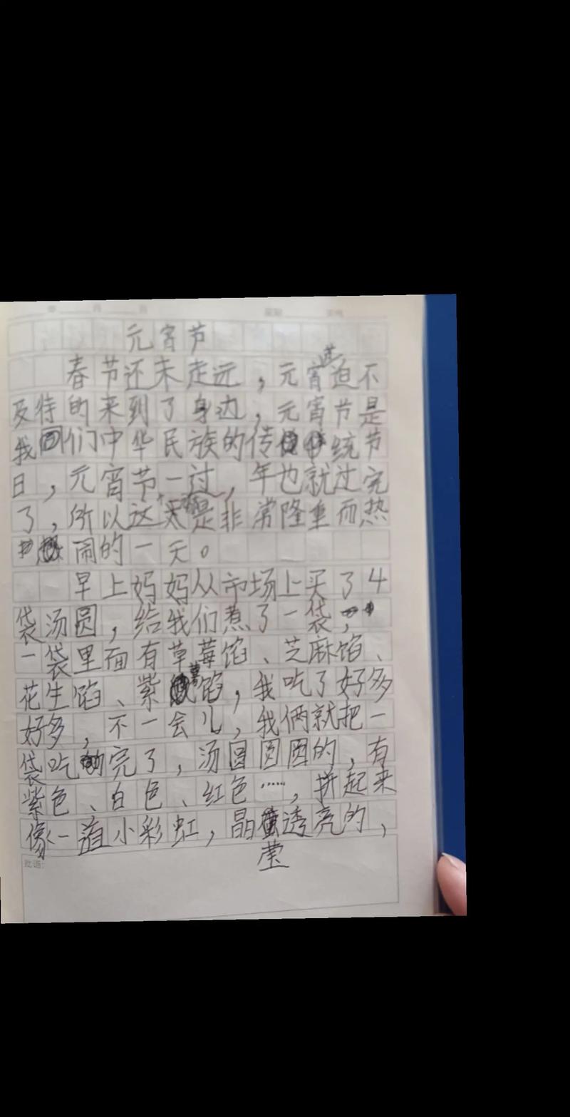 快乐的六年级作文元宵节作文800字高中一年级通用作文