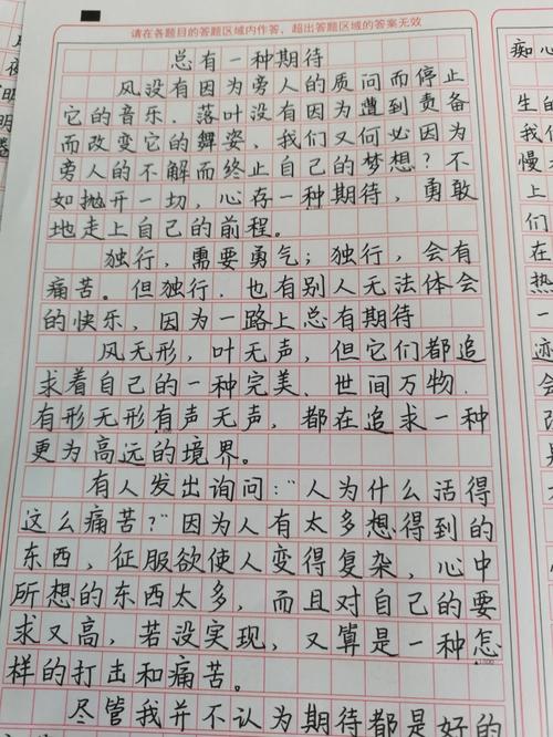 总有一种期待作小学作800字高二