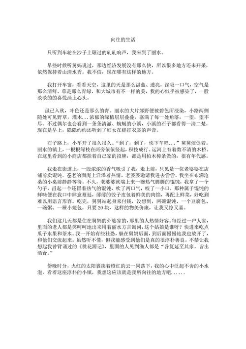 我所向往的中考作文生活作文