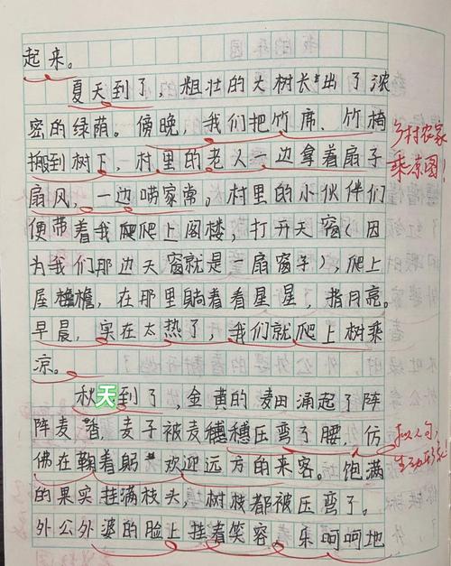 我的作文大全乐园作文800字初中二年级优秀作文