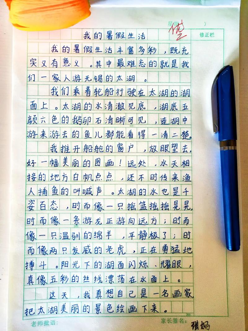 我的看图作文暑假生活高中作文800字(通用合集)