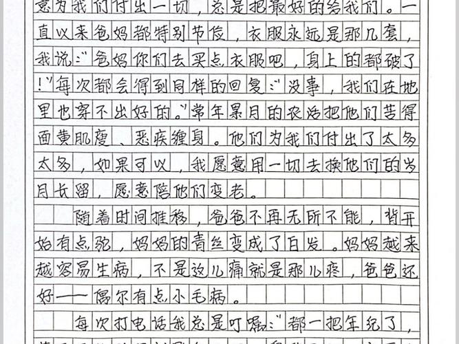 我的高中作牵挂作文600字