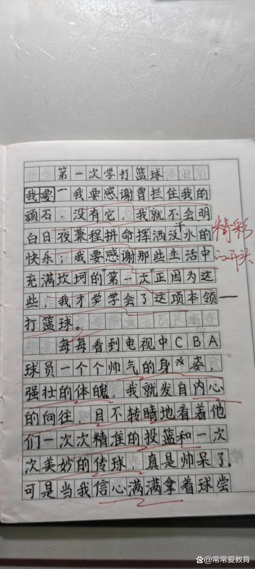 打篮球作中考作文400字优秀作文