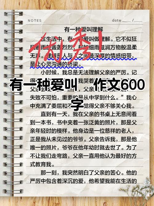 有一种爱叫做放手作作文600字(合集6篇)