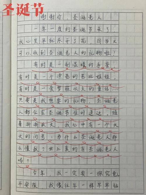 有趣的作文大全圣诞节作文700字