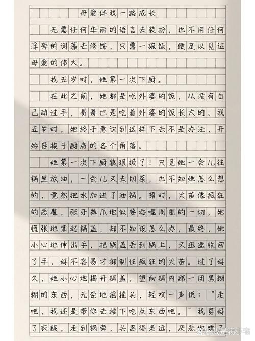 母亲陪我们的看图作文一生作文800字（合集5篇）