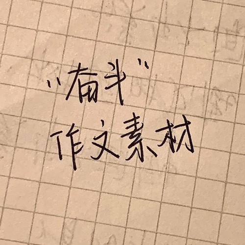 沉醉于奋斗作作文素材